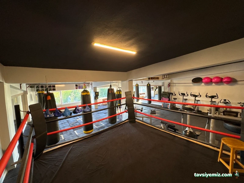 Mehmet Sezer Spor Akademisi