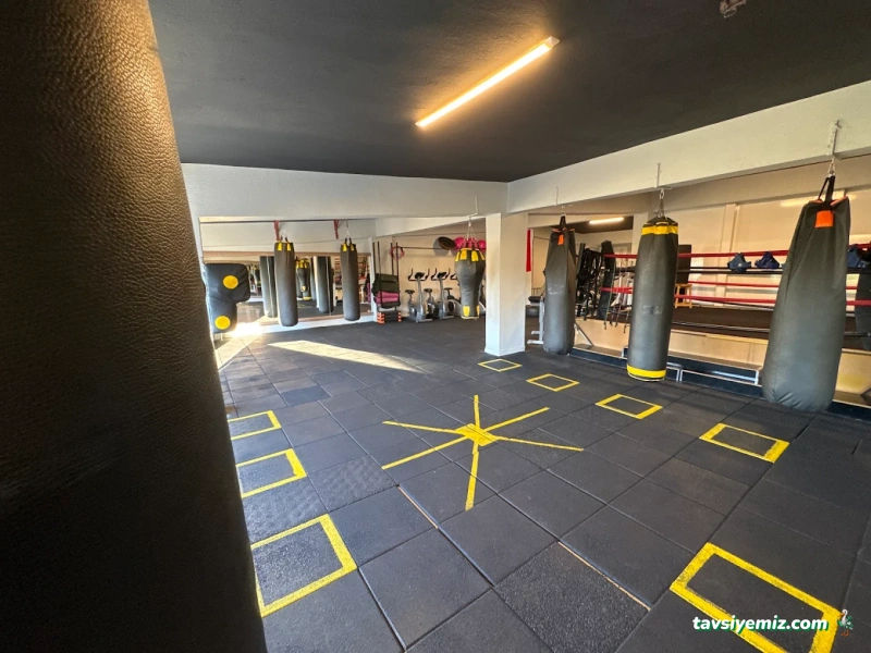 Mehmet Sezer Spor Akademisi