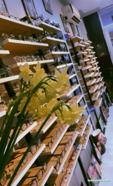 Meis Optik Adapazarı