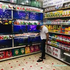 Melek Akvaryum Ve Kuş Dünyası