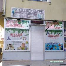 Melek Akvaryum Ve Kuş Dünyası