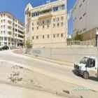 Melisa Şifali Bitkiler