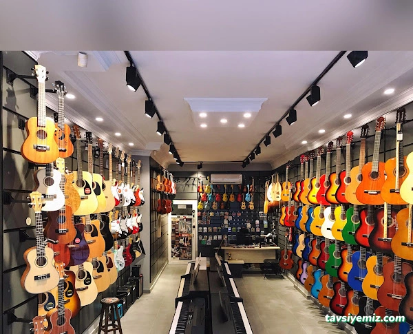 Melodi Müzik Aletleri