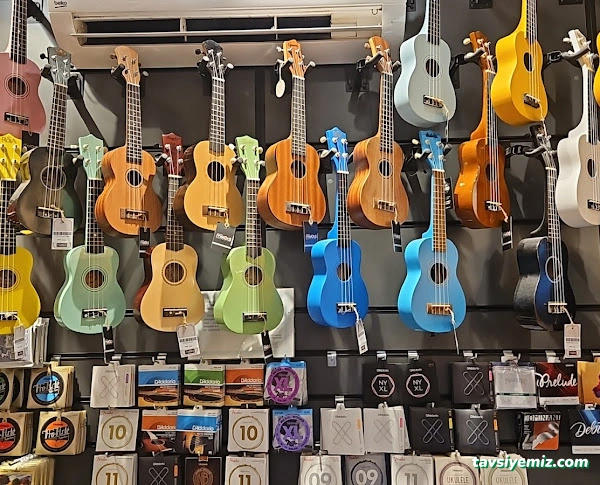 Melodi Müzik Aletleri