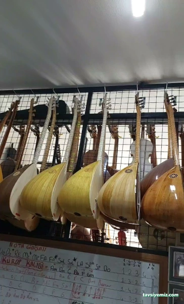 Melodi Müzik Merkezi(Niğde)