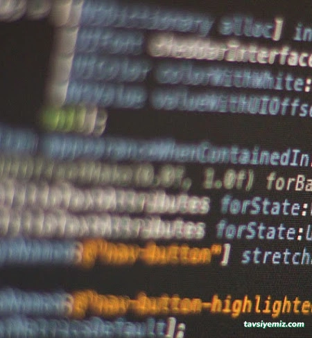 Memleket Design Hosting - Muş Web Tasarım Domain