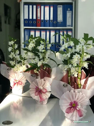 Menteşe Proje Danışmanlık Şirketi