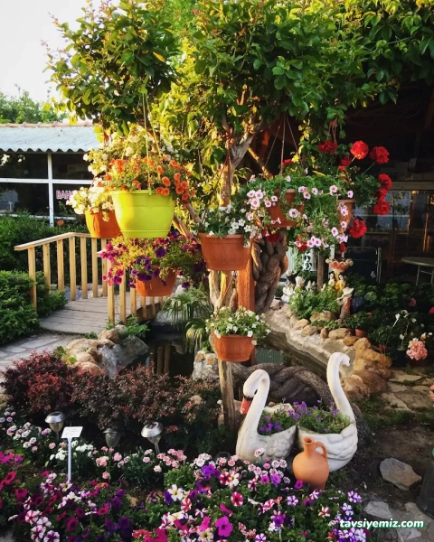 Meriç Süs Bitkileri Ve Çevre Düzenleme