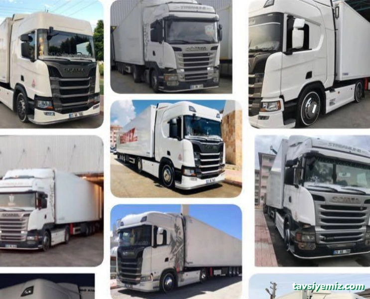 Merkez Lojistik Gıda İnşaat Otomotiv Petrol A.ş.