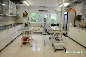 Merkez Veteriner Kliniği