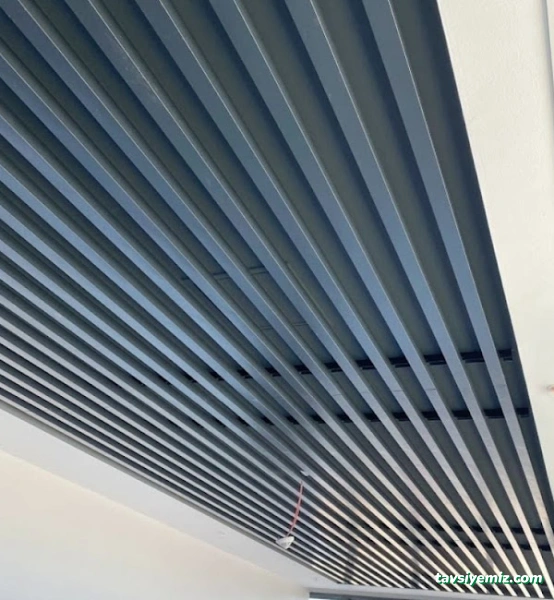 Mersin Asma Tavan Ustası