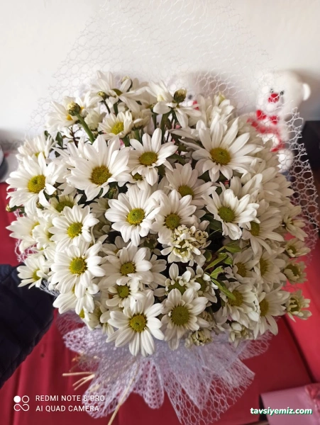 Mersin Çiçek 33 Çiçekçilik