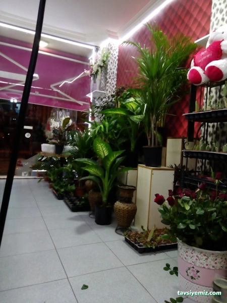 Mersin Çiçek 33 Çiçekçilik