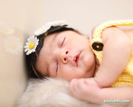 Mert Adam Fotoğrafçılık