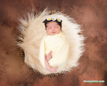 Mert Adam Fotoğrafçılık