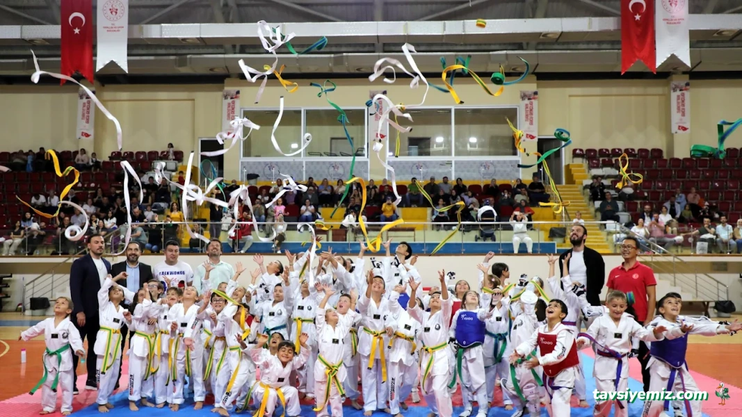 Mert Süngü Taekwondo