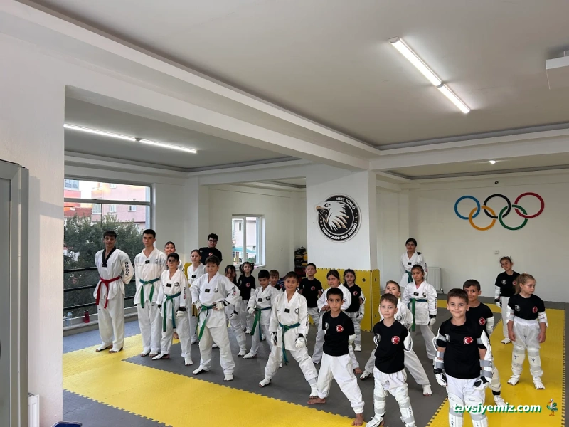 Mert Süngü Taekwondo