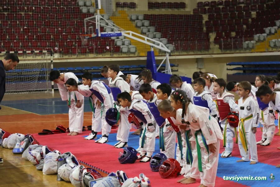 Mert Süngü Taekwondo