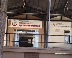 Mesudiye İlçe Devlet Hastanesi