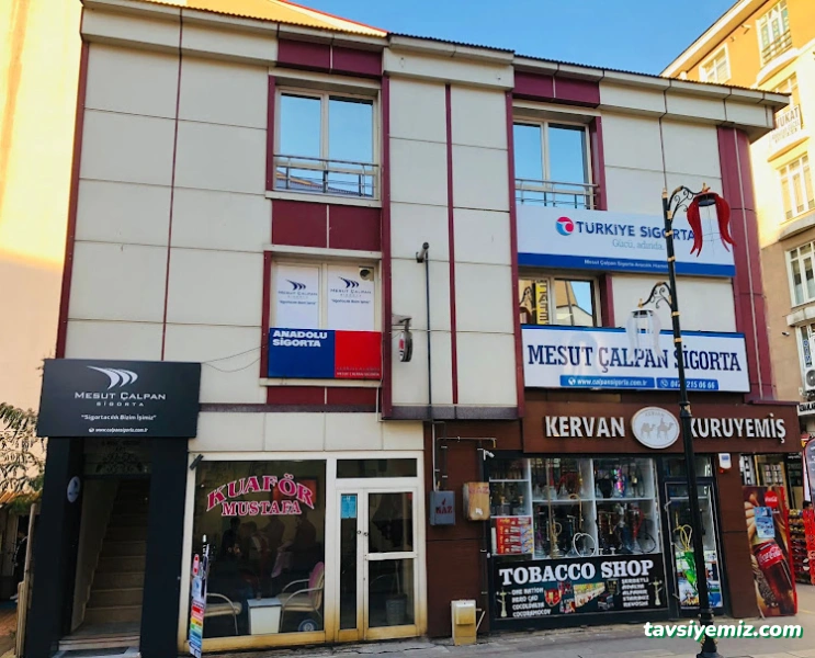 Mesut Çalpan Sigorta