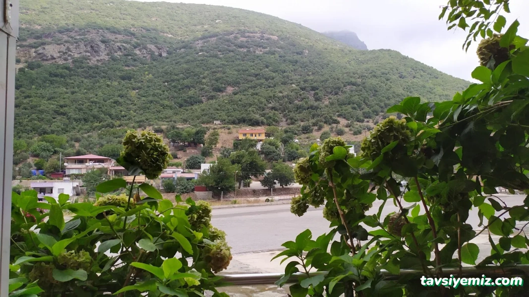 Metin Usta Dinlenme Tesisleri