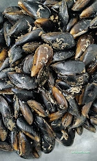 Midyeci Ahmet Bahçelievler