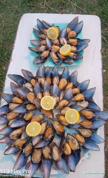 Midyeci Çakır Usta