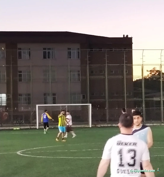 Mimar Sinan Mesleki Ve Teknik Anadolu Lisesi Halı Saha