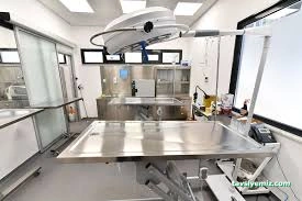 Minik Dost Veteriner Kliniği