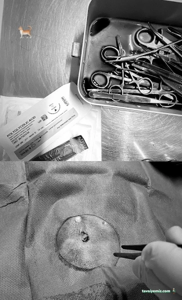 Minik Patiler Veteriner Kliniği