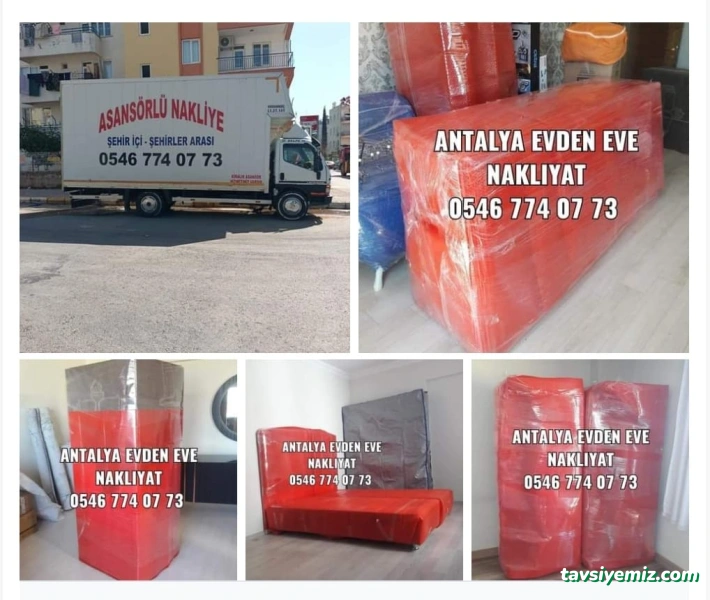 Mirel Evden Eve Asansörlü Taşımacılık