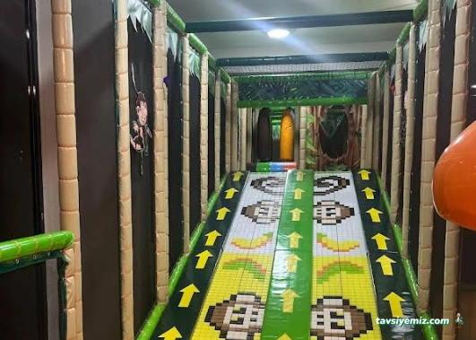 Monkey Jungle Erzurum