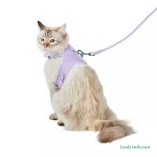 Moons Pet Store & Pet Care