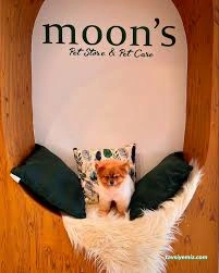 Moons Pet Store & Pet Care