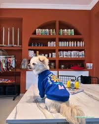 Moons Pet Store & Pet Care