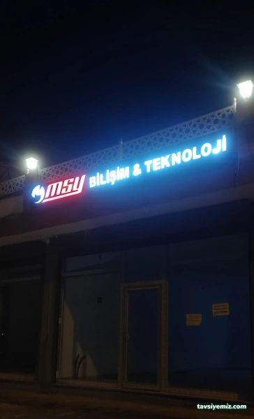 Msy Elektronik Bilişim Güvenlik Sistemleri