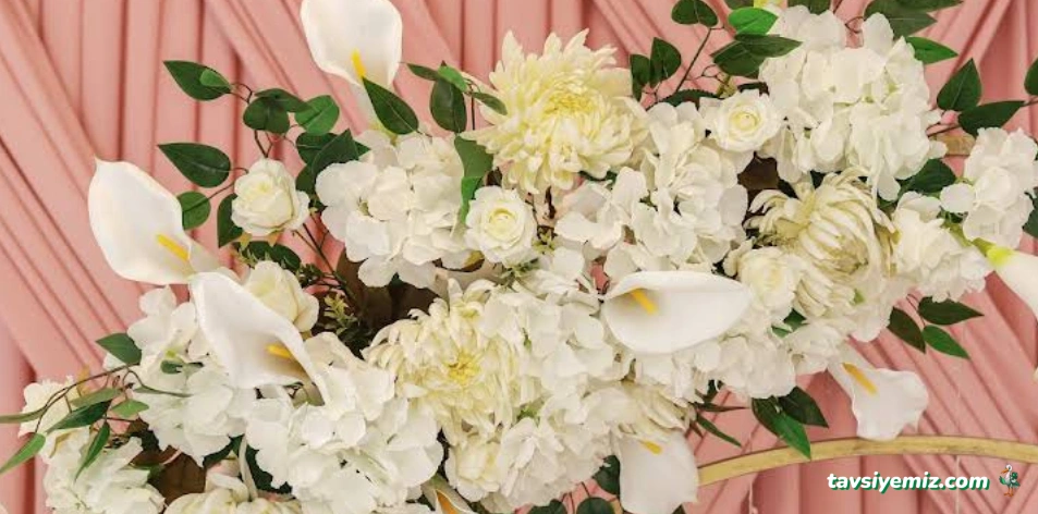 Mucizem Organizasyon