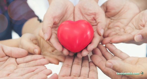 Muğla'ya Hizmet Vakfı