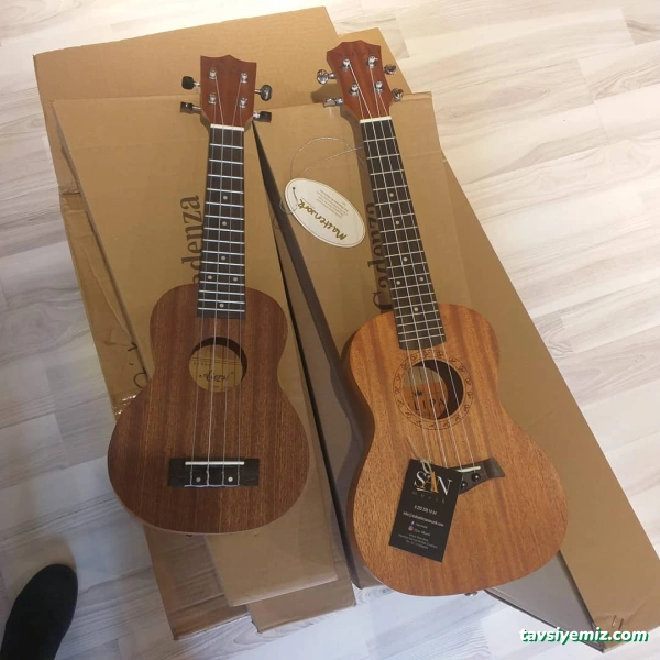 Murat Durmaz Müzik Evi