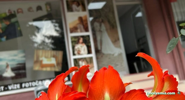 Murat Yılmaz Fotoğrafçılık Giresun