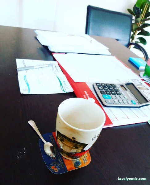 Muratsoft Erzincan Web Tasarım Ve Yazılım