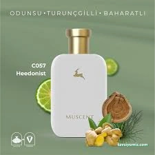 Muscent Perfume Aydın