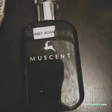 Muscent Perfume Kütahya Sera Avm