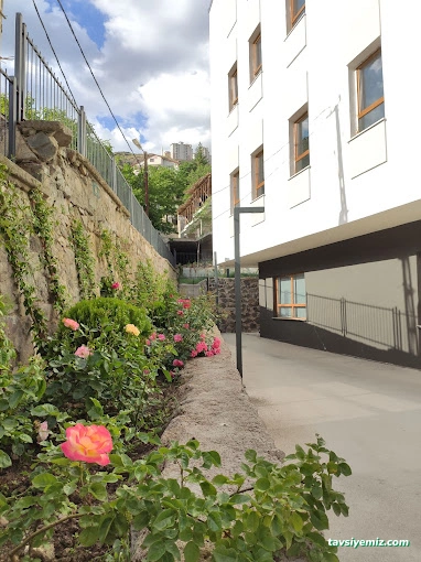 Mustafa Canlı Bilim Ve Sanat Merkezi