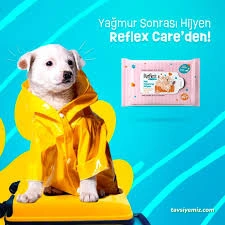 Mutlu Patiler Petshop