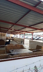 Mutlu Yediemin Otopark