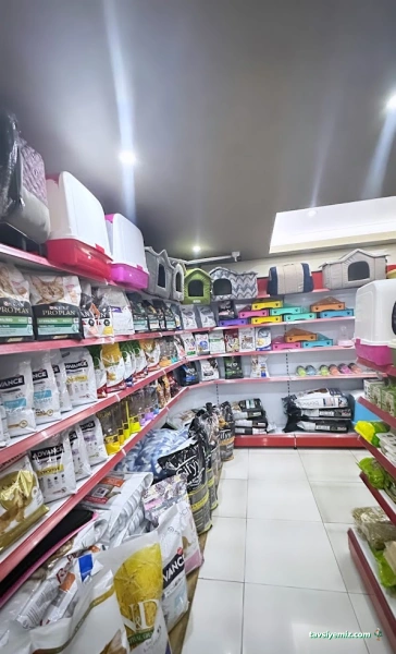 My Jumbo Petshop ( Alo Mama )