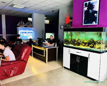 My Life Playstation Cafe