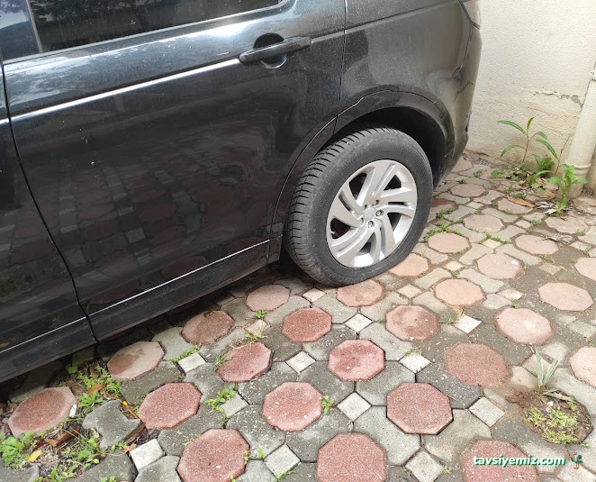 Nadir Nöbetçi Lastikçi Yol Yardım