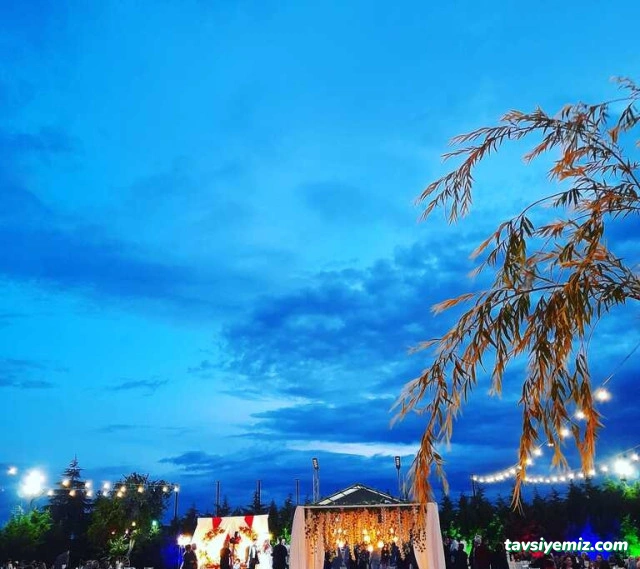 Narçiçeği Kır Bahçesi